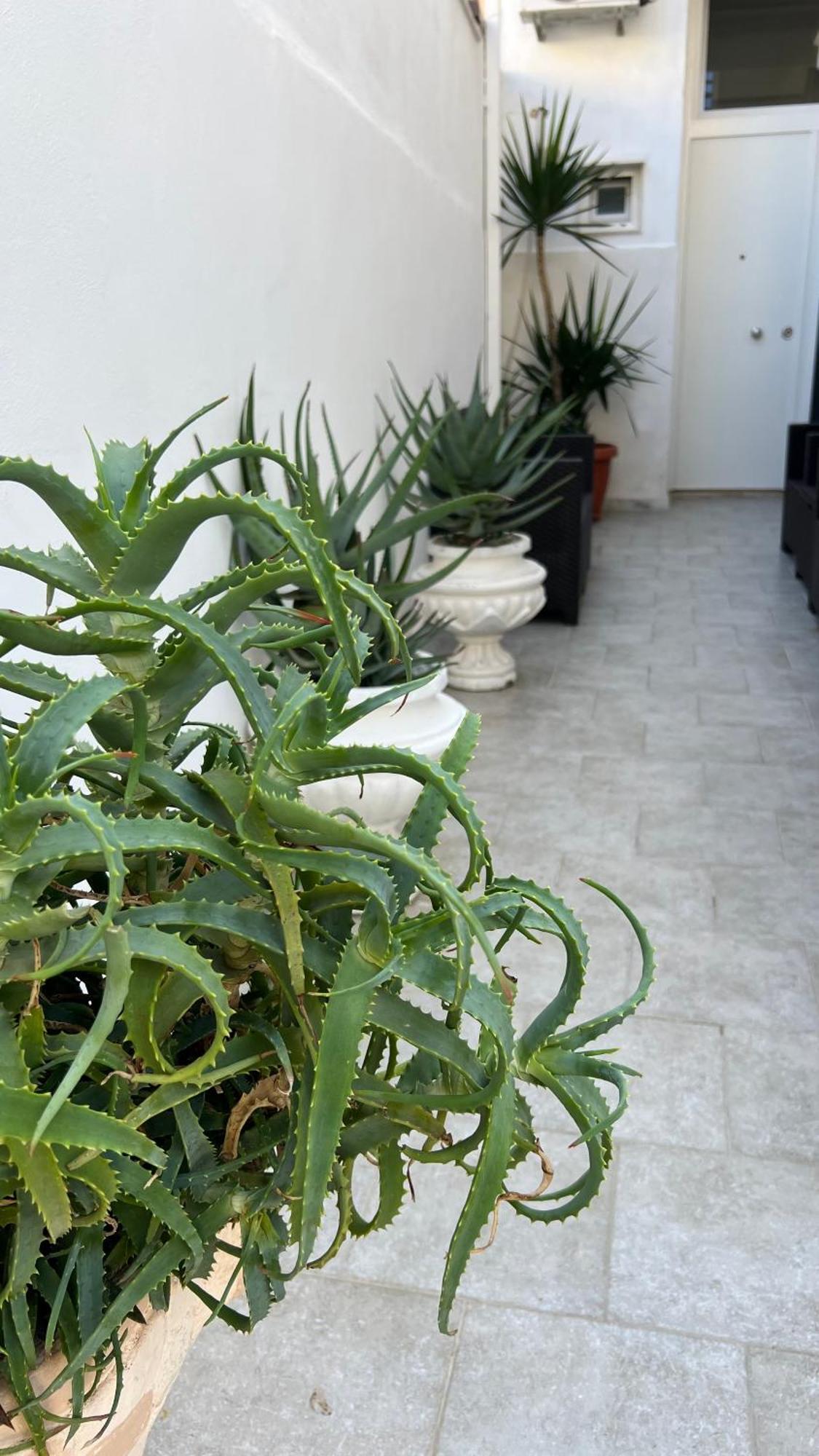 Appartamento Casa Myda Bari Esterno foto