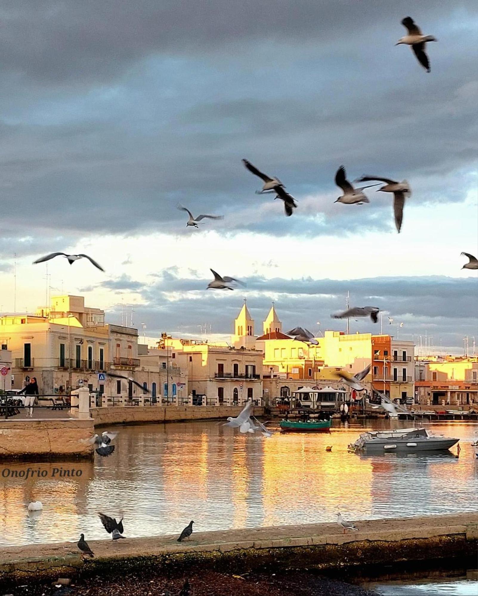Appartamento Casa Myda Bari Esterno foto