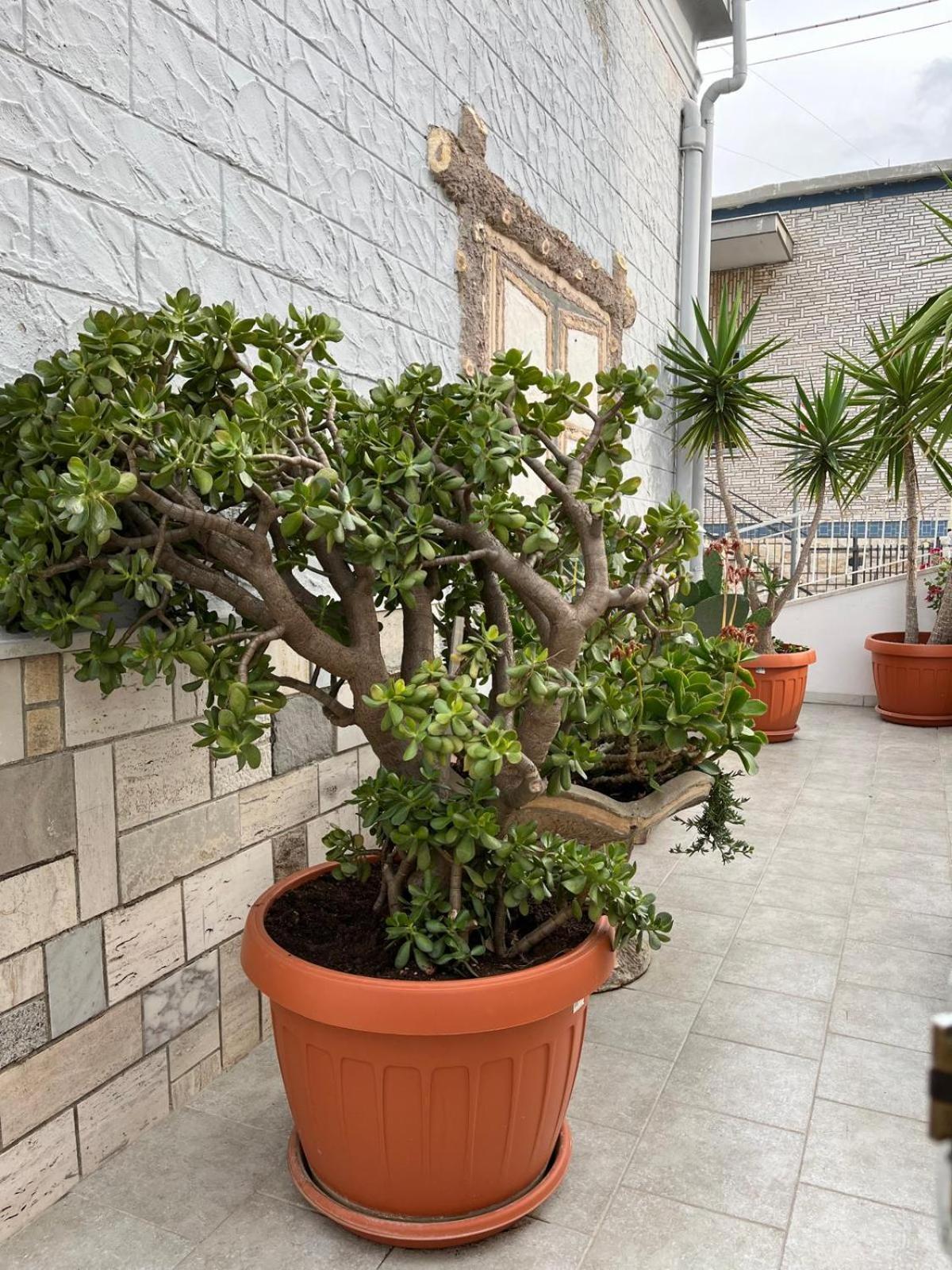 Appartamento Casa Myda Bari Esterno foto